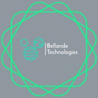 Bellande Technologies Corporation Logo
