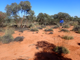 Field work at Tarawi NR