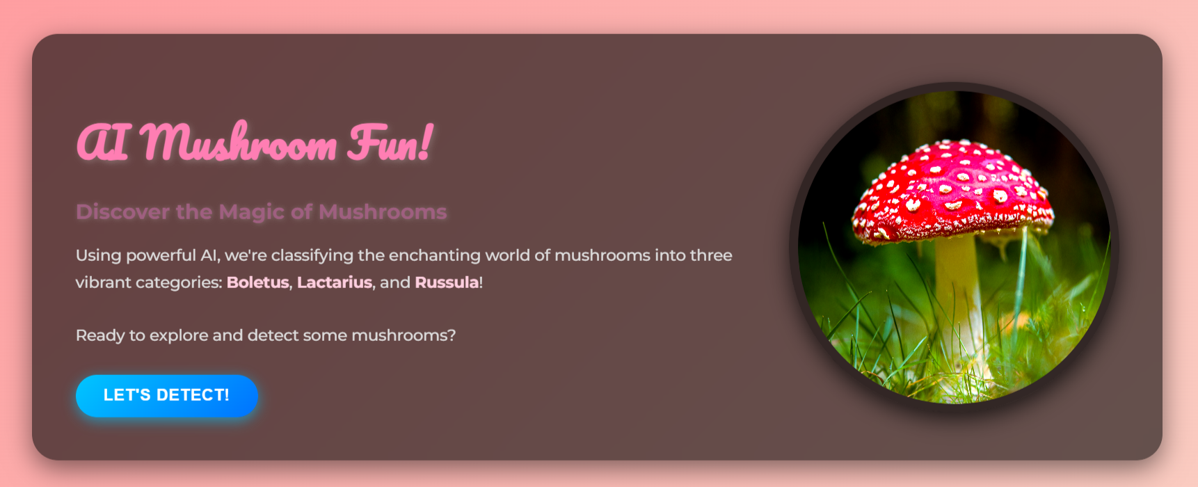 GitHub - rushikeshs102/AI-Mushroom-Classification-Analysis-SMI: This ...