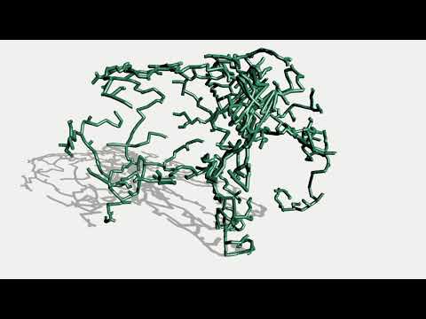 Growth Simulation Video