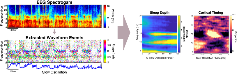 SO-power/phase histograms