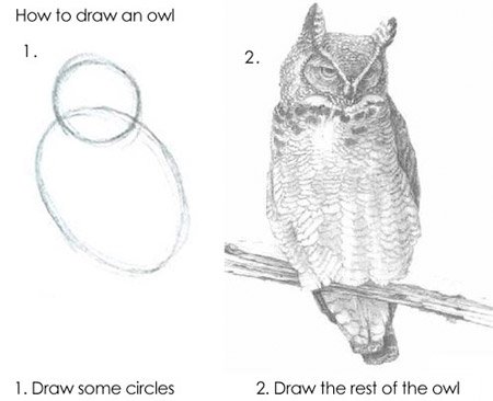 An image of a starter owl drawing and the completed drawing. Source