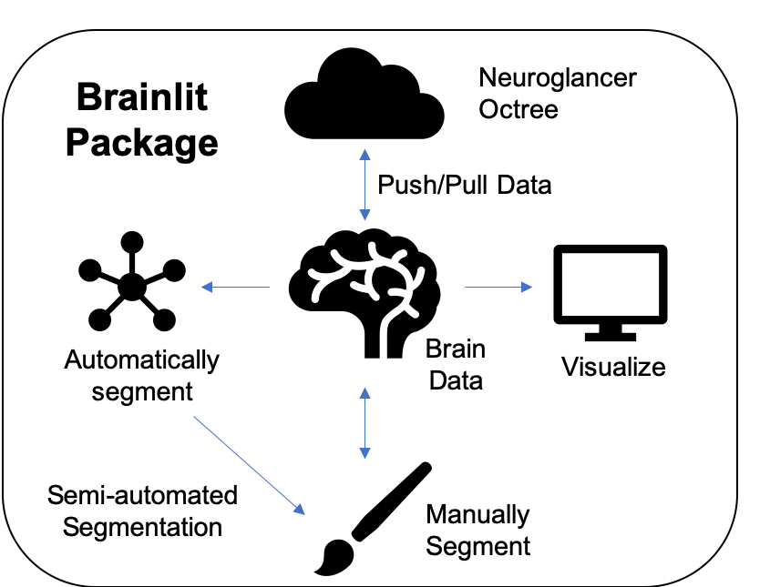 Brainlit Features