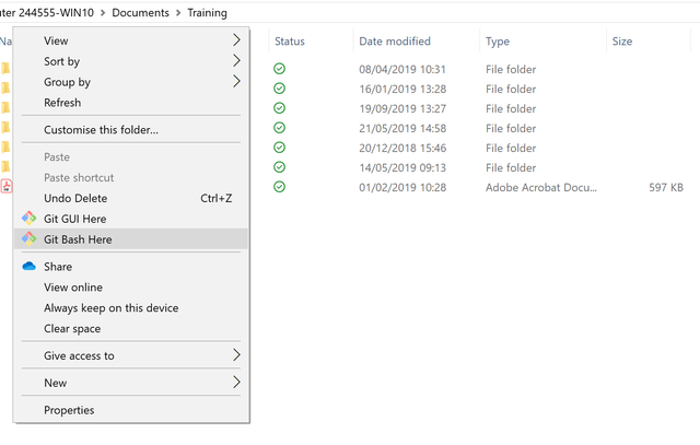 Image of using Git Bash here