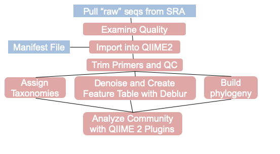 Sequence_Preprocess_Overview