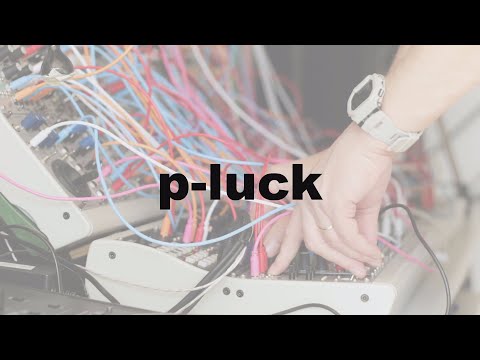 p luck on youtube