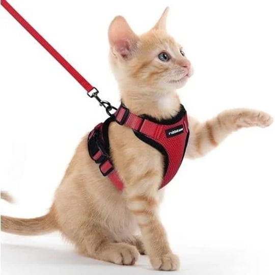 rabbitgoo-cat-harness-and-leash-for-walking-escape-proof-soft-adjustable-vest-harnesses-for-cats-eas-1