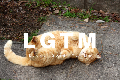 LGTM