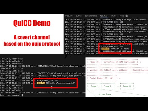 QuiCC - A covert channel based on the quic protocol.