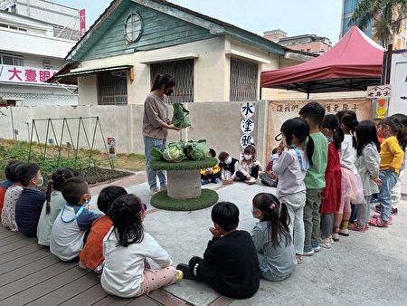 复国幼儿园观察植物。