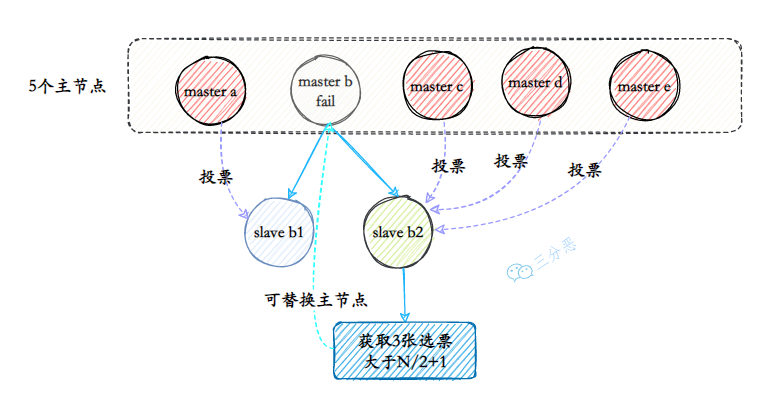 选举投票