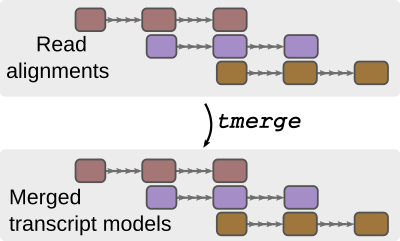 tmerge non-merge case