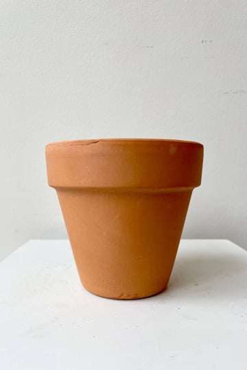 deroma-terra-cotta-pot-4-1-count-1