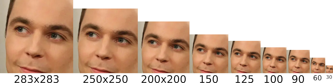 Sheldon Cooper Face Comparison