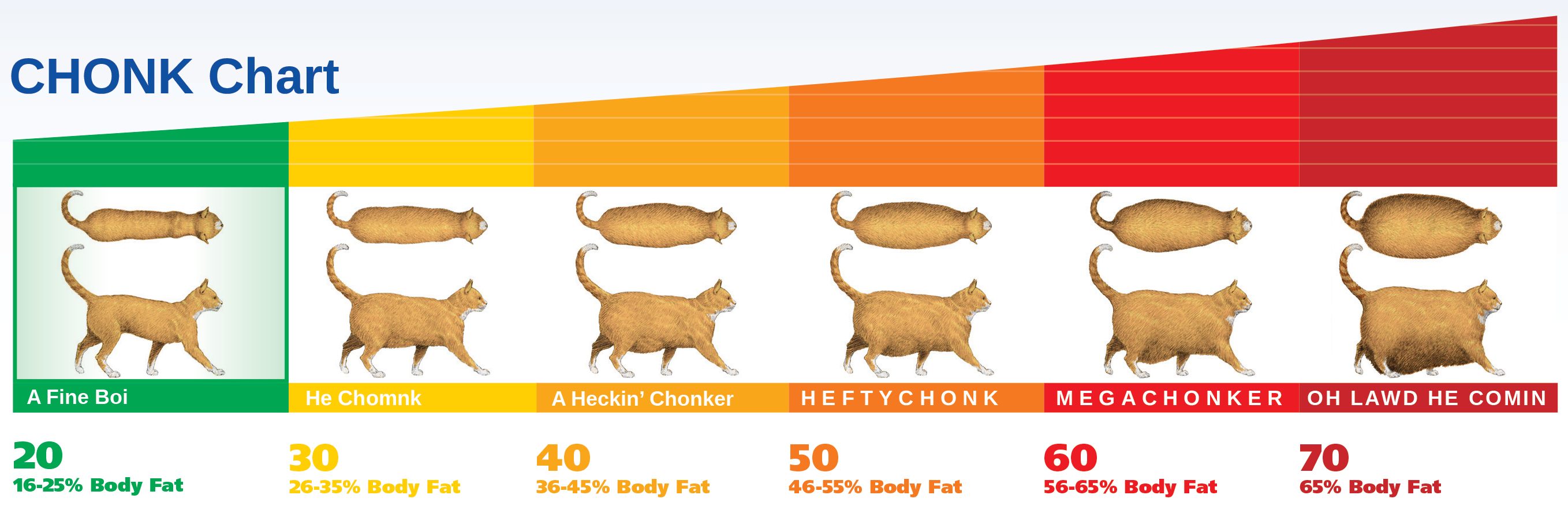 chonk