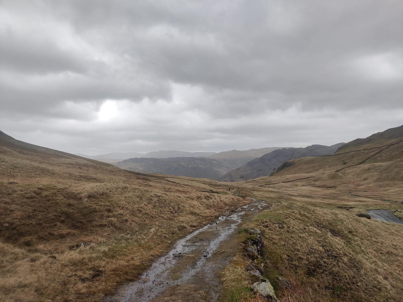 into the bog