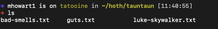 Screen Shot of tauntaun directory with the files "bad-smells.txt", "guts.txt", and "luke-skywalker.txt"