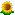 U+1F33B, U+FE046