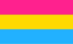 Pansexuality Pride Flag