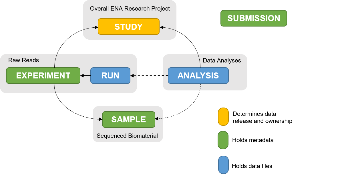 ENA Metadata model