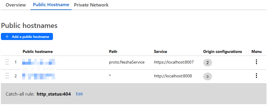 public hostname