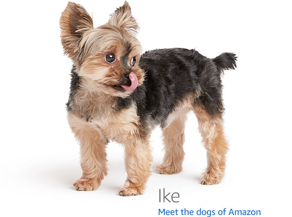 Amazon.com の 404 ページに表示される犬の一覧 · GitHub