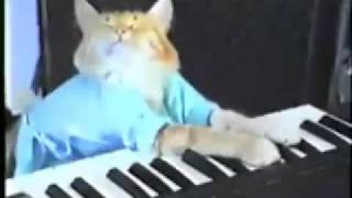 ナイト・オブ・【KEYBOARD CAT】