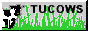 Anlucas Neocities