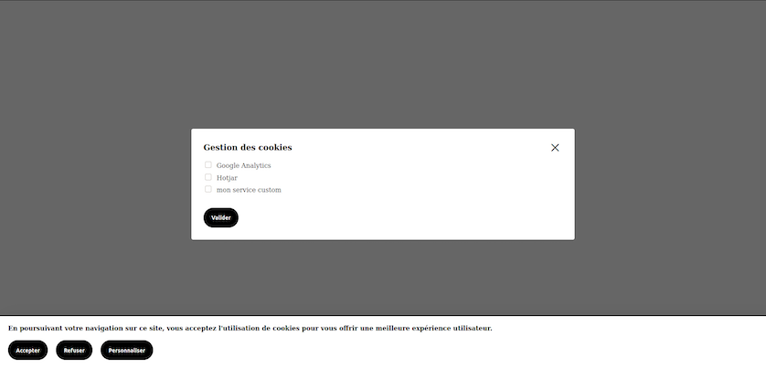 screenshot of the cookie banner with an alert box