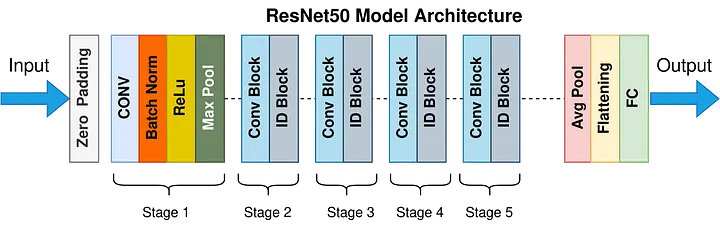 ResNet-50 architecture