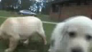 Still - Geto Boys  Uncensored, with Puppiez 