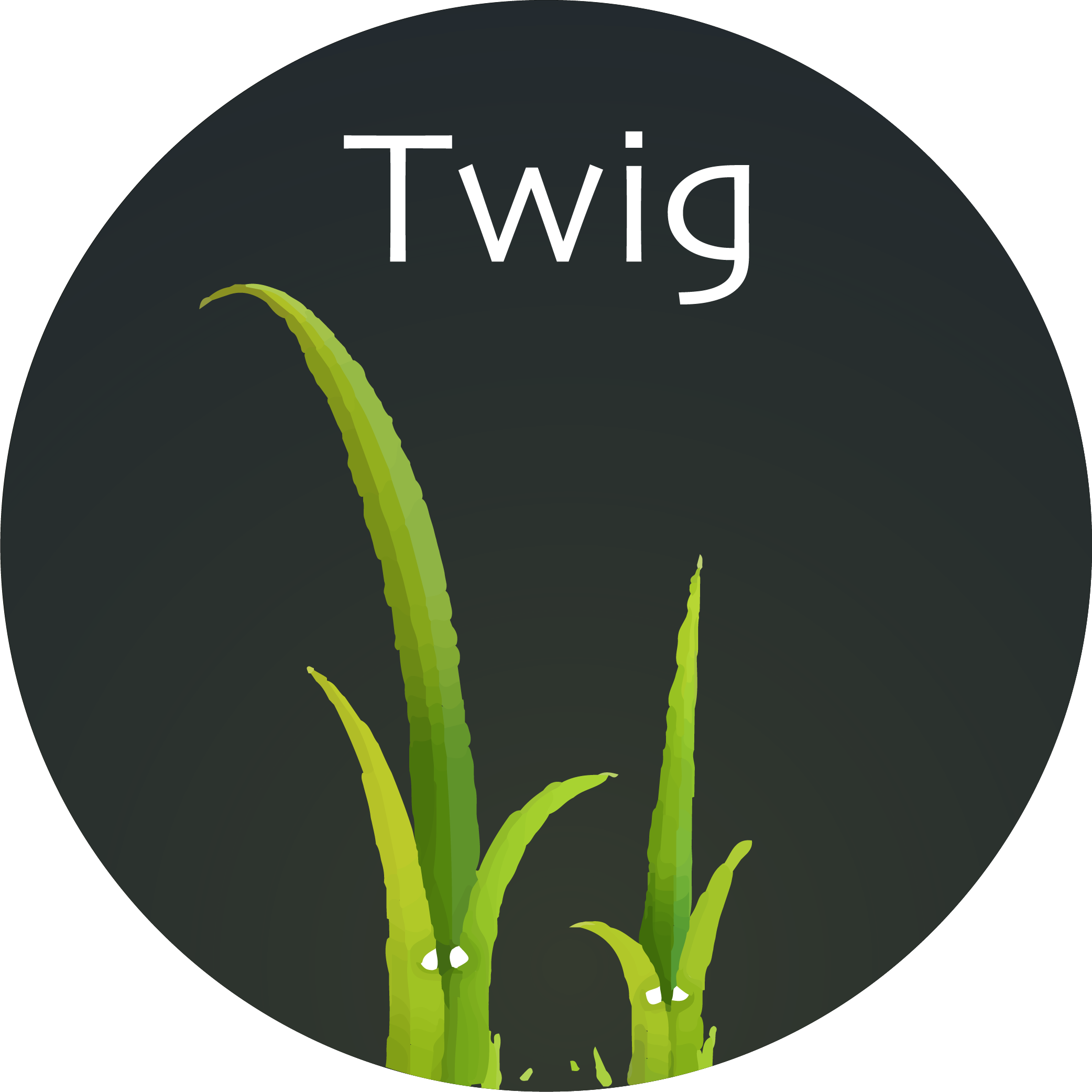 Twig