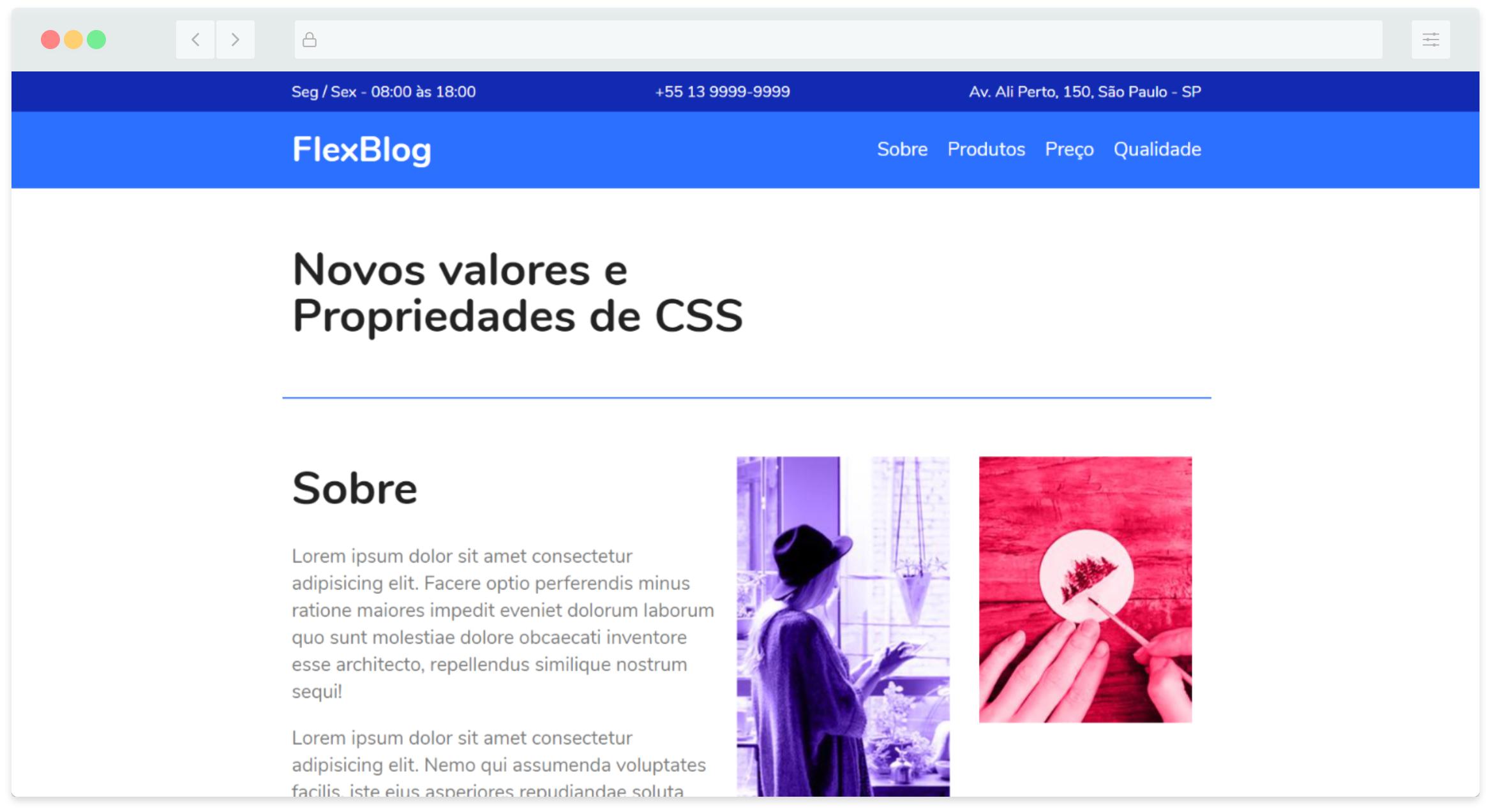 FlexBlog