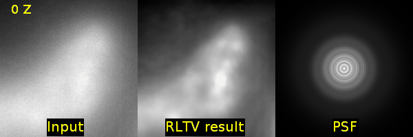https://media.scijava.org/scijava-ops/1.0.0/rltv_example_1.gif