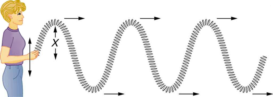 transverse waves