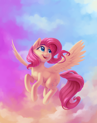 pony image