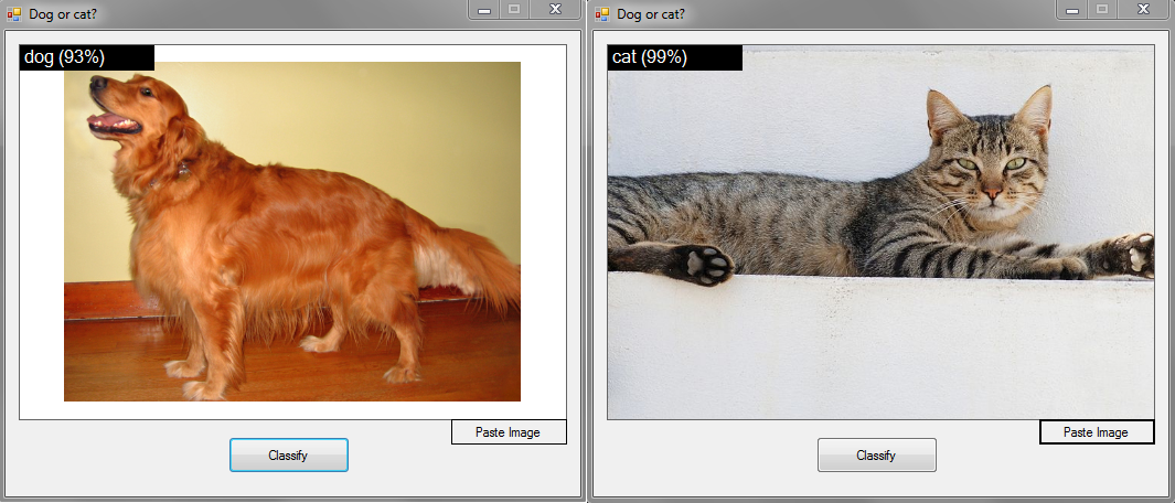 Mobilenet classify dog or cat tensorflow