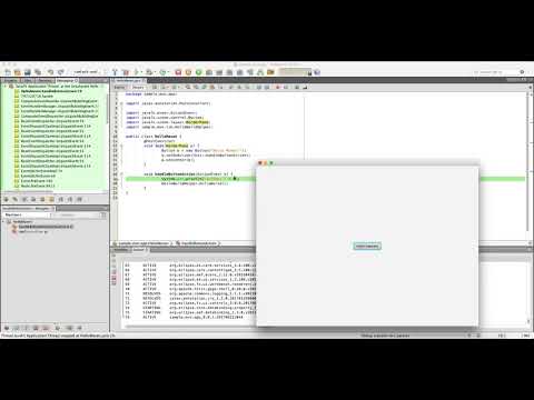 Netbeans Sample Video