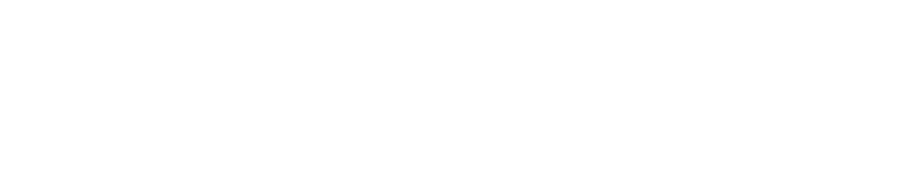 Cyberchallenge