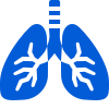 Lung Icon