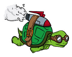 rocket turtle