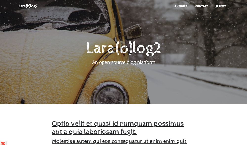 LaraBlog Admin Theme Example