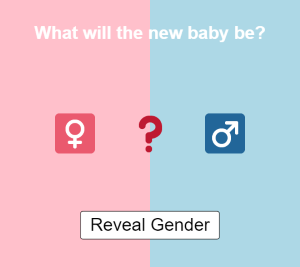 What will the new baby be?