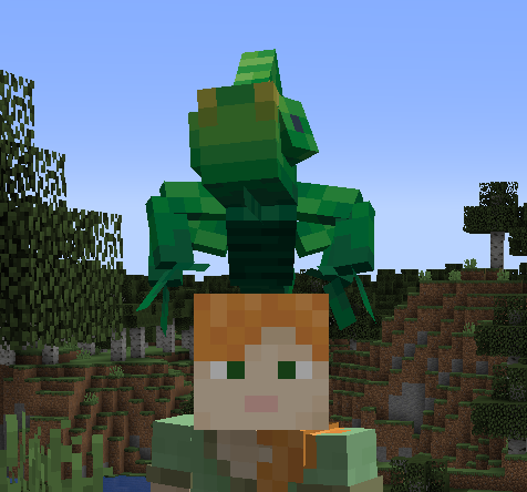 Chameleon on a player's head