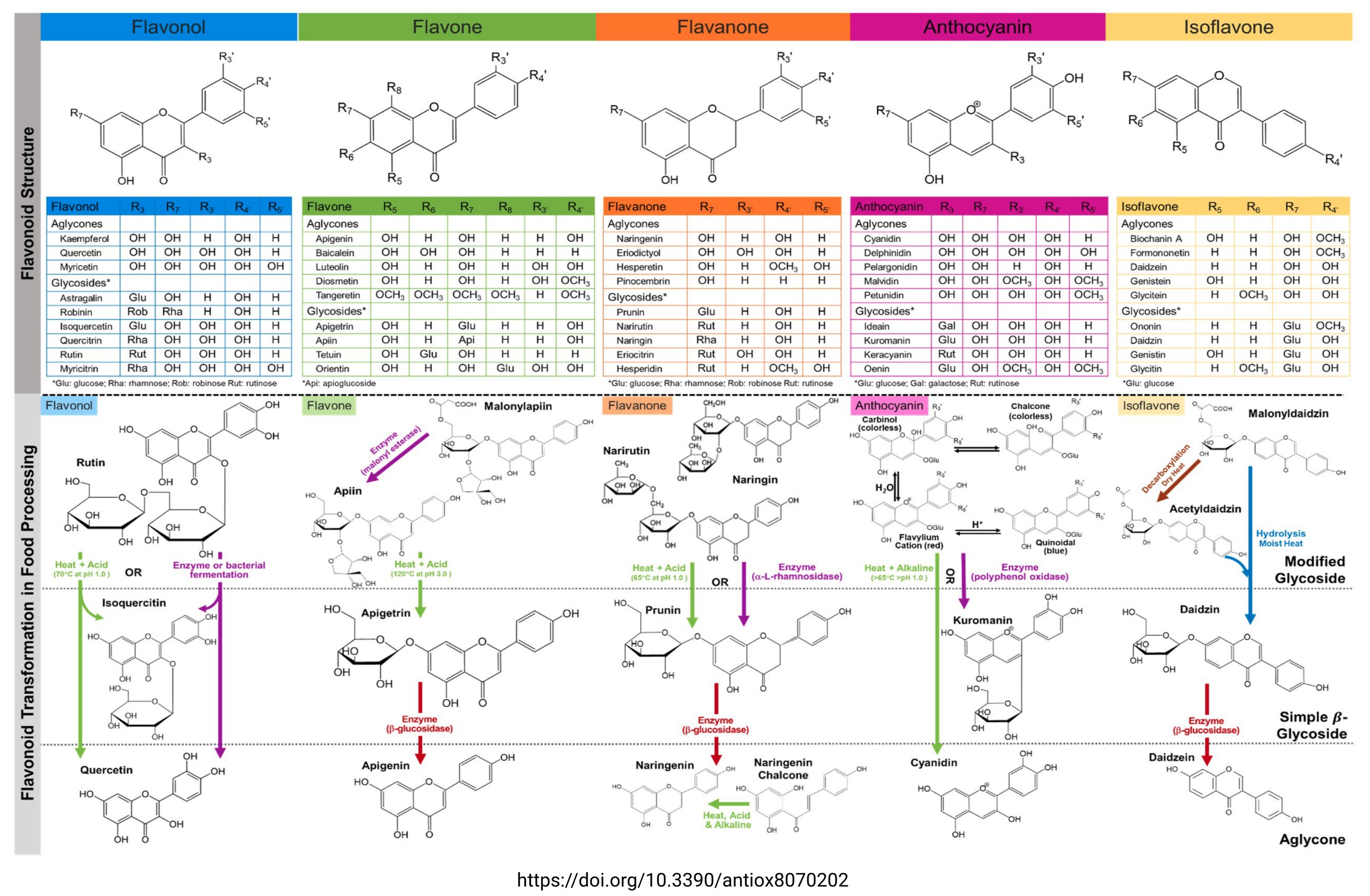 Biochemical diversity of flavonoids (Tweet #42)