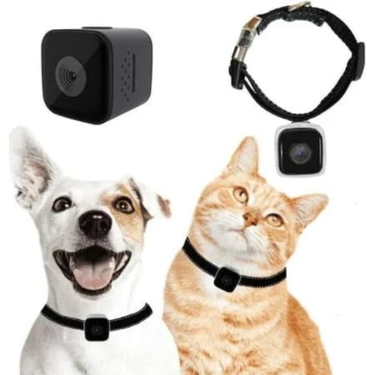 cat-camera-collar-no-wifi-needed-no-appcat-collar-camera-with-video-record-body-camera-for-cat-dog-r-1