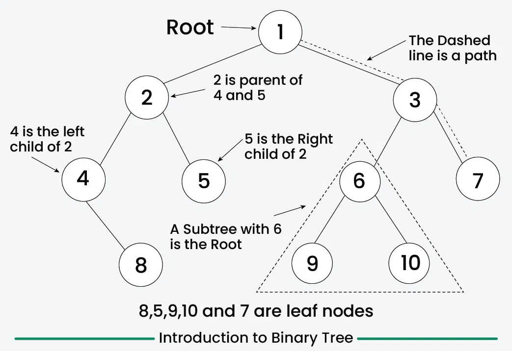 Tree Representation