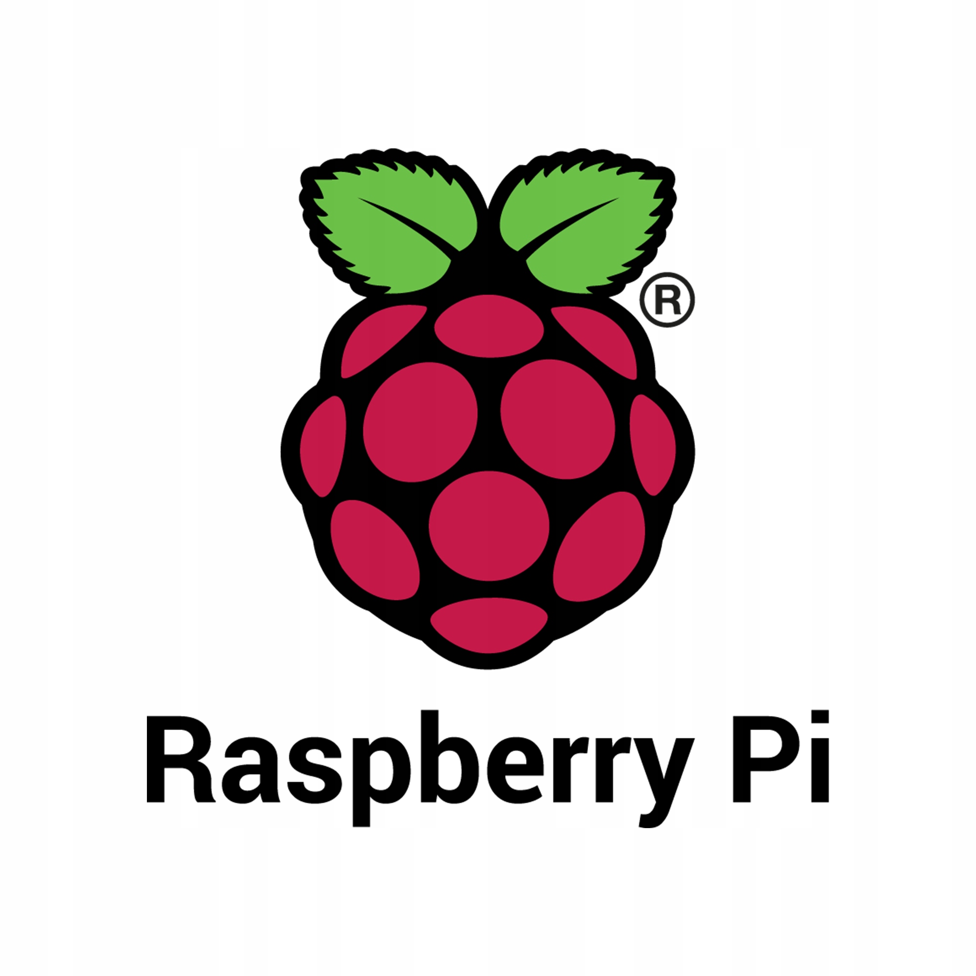 raspberry logo