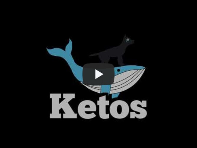 Ketos Demo