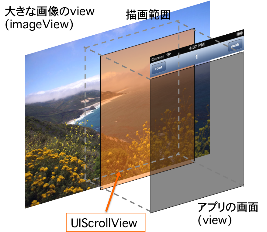 scroll view の階層
